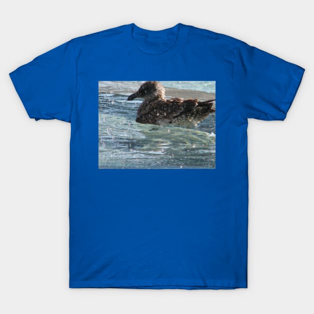 Water off a bird's back T-Shirt by FriendlyComputerHelp